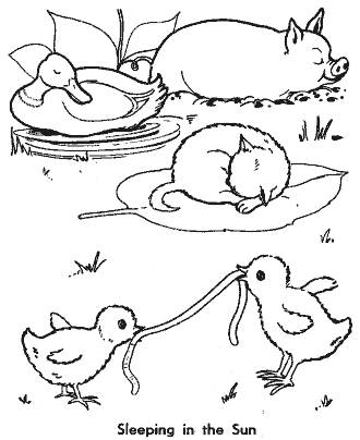 little red hen coloring pages