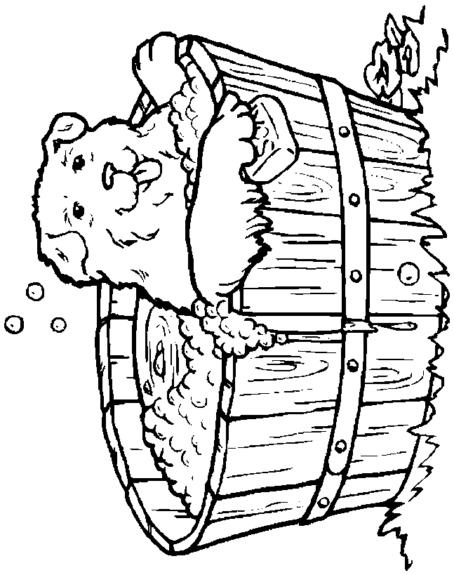 animalss coloring pages