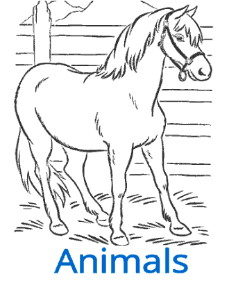 free and printable and coloring pages